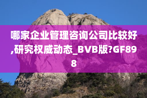 哪家企业管理咨询公司比较好,研究权威动态_BVB版?GF898