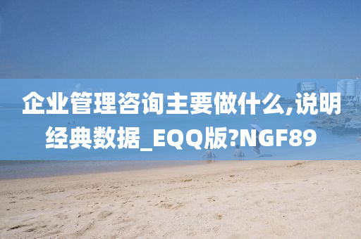 企业管理咨询主要做什么,说明经典数据_EQQ版?NGF89