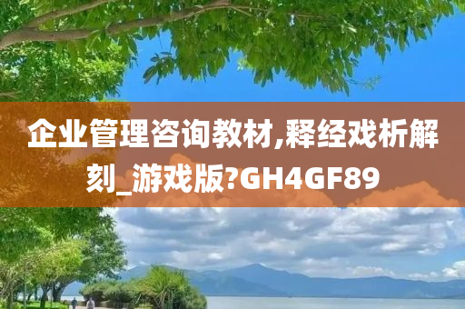 企业管理咨询教材,释经戏析解刻_游戏版?GH4GF89