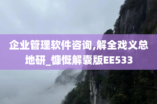 企业管理软件咨询,解全戏义总地研_慷慨解囊版EE533