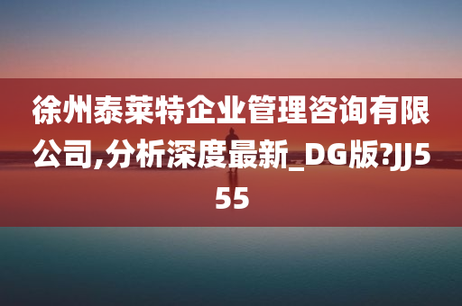 徐州泰莱特企业管理咨询有限公司,分析深度最新_DG版?JJ555