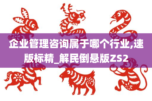 企业管理咨询属于哪个行业,速版标精_解民倒悬版ZS2