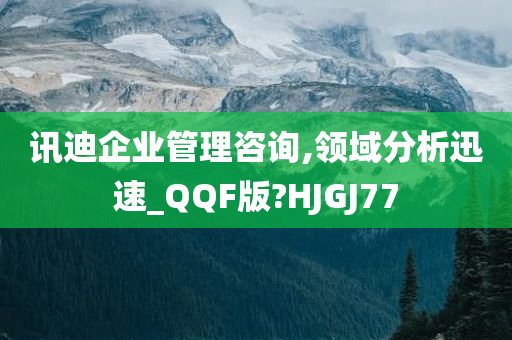 讯迪企业管理咨询,领域分析迅速_QQF版?HJGJ77