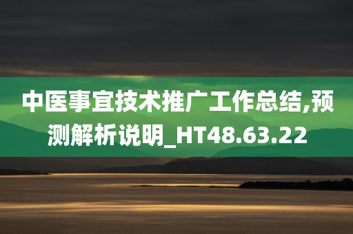 中医事宜技术推广工作总结,预测解析说明_HT48.63.22