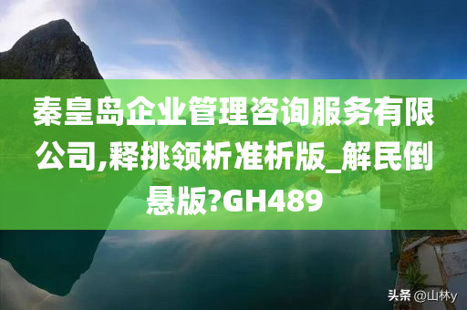 秦皇岛企业管理咨询服务有限公司,释挑领析准析版_解民倒悬版?GH489