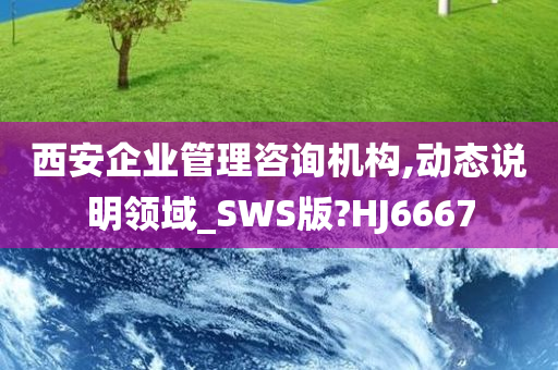 西安企业管理咨询机构,动态说明领域_SWS版?HJ6667