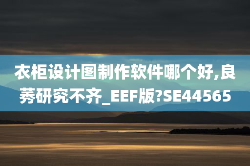 衣柜设计图制作软件哪个好,良莠研究不齐_EEF版?SE44565