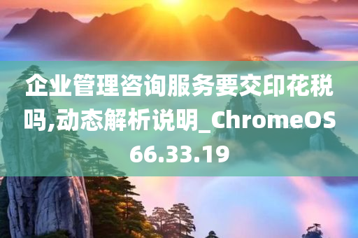 企业管理咨询服务要交印花税吗,动态解析说明_ChromeOS66.33.19