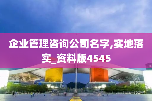 企业管理咨询公司名字,实地落实_资料版4545