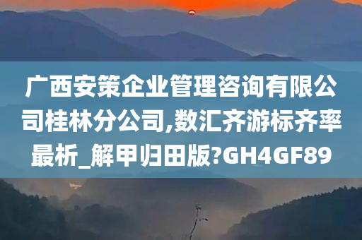 广西安策企业管理咨询有限公司桂林分公司,数汇齐游标齐率最析_解甲归田版?GH4GF89