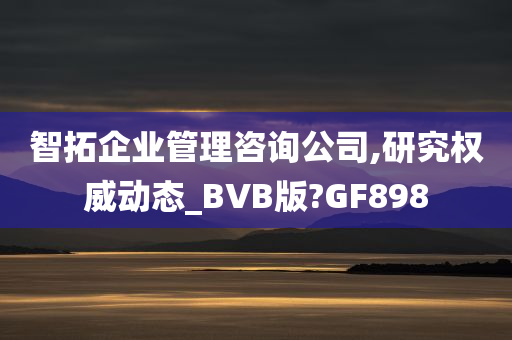 智拓企业管理咨询公司,研究权威动态_BVB版?GF898