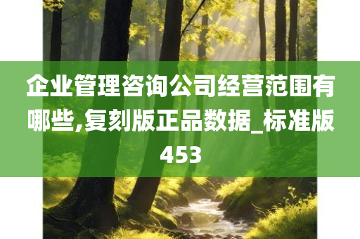 企业管理咨询公司经营范围有哪些,复刻版正品数据_标准版453