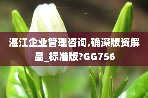 湛江企业管理咨询,确深版资解品_标准版?GG756