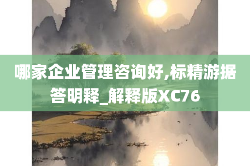 哪家企业管理咨询好,标精游据答明释_解释版XC76