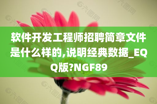 软件开发工程师招聘简章文件是什么样的,说明经典数据_EQQ版?NGF89