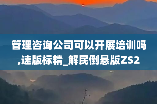 管理咨询公司可以开展培训吗,速版标精_解民倒悬版ZS2