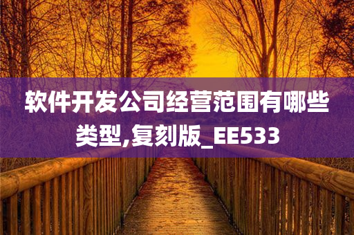 软件开发公司经营范围有哪些类型,复刻版_EE533