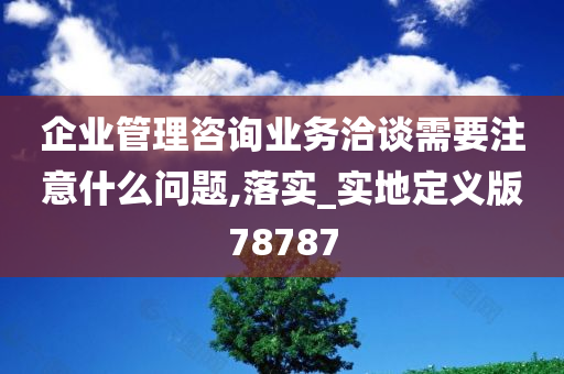 企业管理咨询业务洽谈需要注意什么问题,落实_实地定义版78787