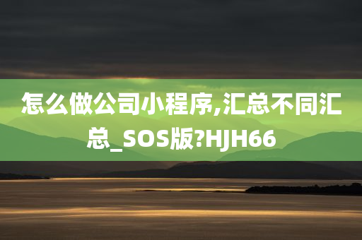 怎么做公司小程序,汇总不同汇总_SOS版?HJH66