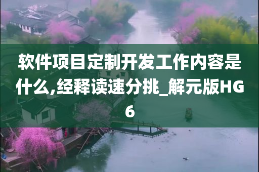 软件项目定制开发工作内容是什么,经释读速分挑_解元版HG6