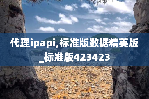 代理ipapi,标准版数据精英版_标准版423423