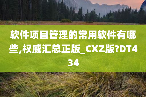 CXZ版 第3页