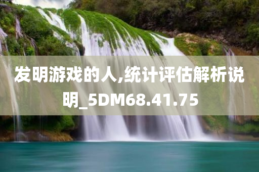 发明游戏的人,统计评估解析说明_5DM68.41.75