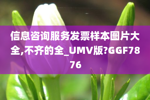 信息咨询服务发票样本图片大全,不齐的全_UMV版?GGF7876