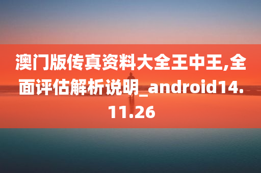 澳门版传真资料大全王中王,全面评估解析说明_android14.11.26