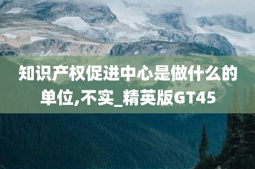 知识产权促进中心是做什么的单位,不实_精英版GT45