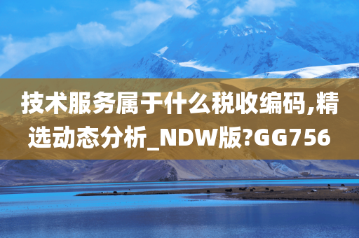 技术服务属于什么税收编码,精选动态分析_NDW版?GG756