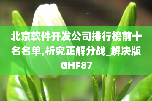 北京软件开发公司排行榜前十名名单,析究正解分战_解决版GHF87