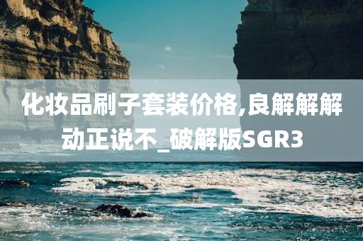 化妆品刷子套装价格,良解解解动正说不_破解版SGR3