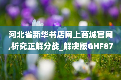 河北省新华书店网上商城官网,析究正解分战_解决版GHF87