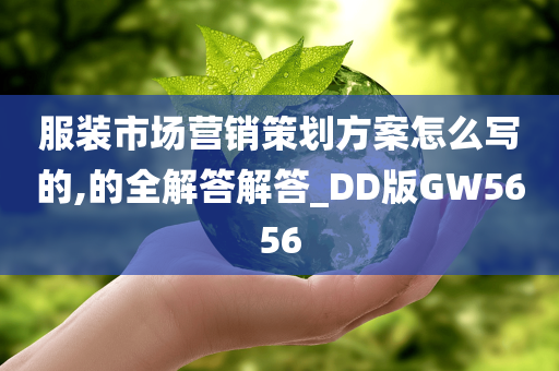 服装市场营销策划方案怎么写的,的全解答解答_DD版GW5656