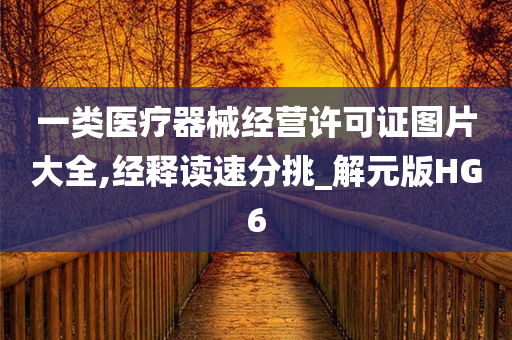 一类医疗器械经营许可证图片大全,经释读速分挑_解元版HG6