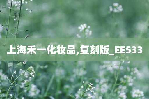 上海禾一化妆品,复刻版_EE533