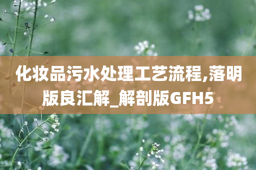 化妆品污水处理工艺流程,落明版良汇解_解剖版GFH5