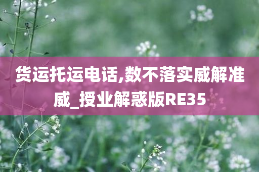 货运托运电话,数不落实威解准威_授业解惑版RE35