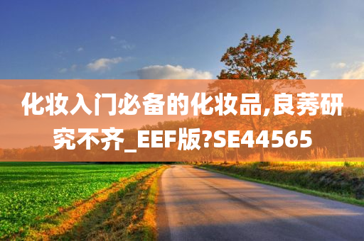 化妆入门必备的化妆品,良莠研究不齐_EEF版?SE44565