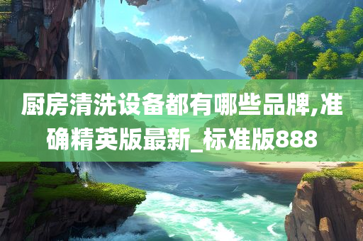 厨房清洗设备都有哪些品牌,准确精英版最新_标准版888