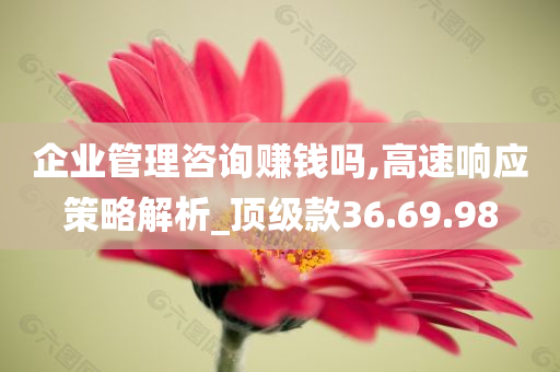 企业管理咨询赚钱吗,高速响应策略解析_顶级款36.69.98