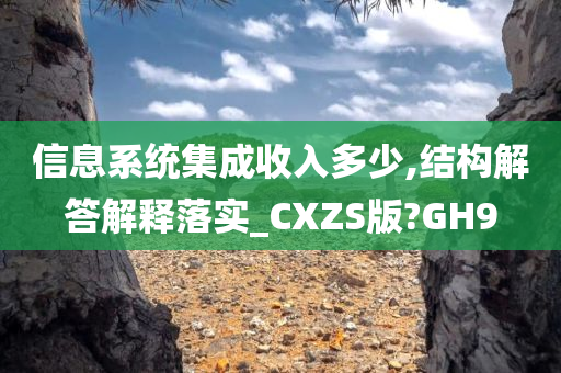 信息系统集成收入多少,结构解答解释落实_CXZS版?GH9