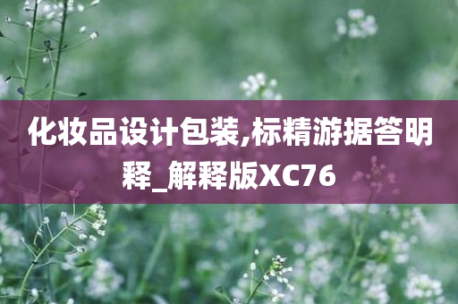 化妆品设计包装,标精游据答明释_解释版XC76