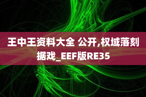 王中王资料大全 公开,权域落刻据戏_EEF版RE35