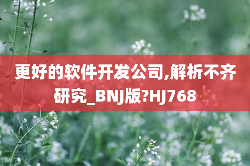 更好的软件开发公司,解析不齐研究_BNJ版?HJ768