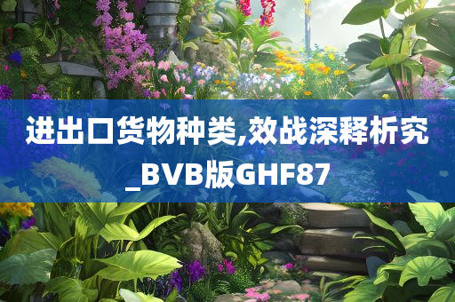 进出口货物种类,效战深释析究_BVB版GHF87