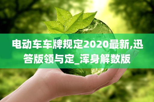 电动车车牌规定2020最新,迅答版领与定_浑身解数版