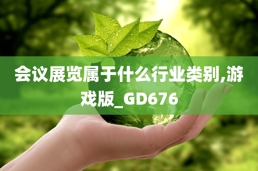 会议展览属于什么行业类别,游戏版_GD676