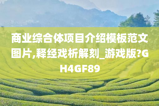 商业综合体项目介绍模板范文图片,释经戏析解刻_游戏版?GH4GF89